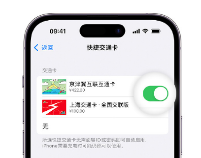 珠海apple维修点分享iPhone上更换Apple Pay快捷交通卡手绘卡面 