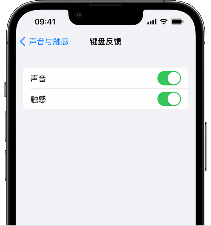 珠海苹果14维修店分享如何在 iPhone 14 机型中使用触感键盘 