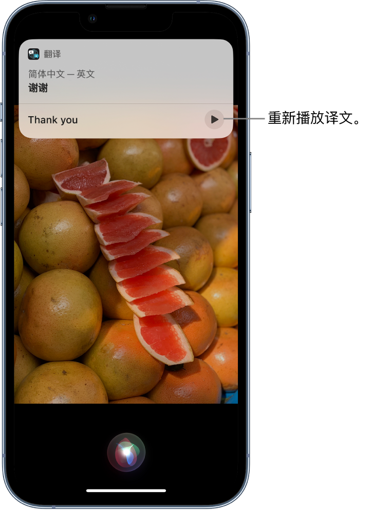 珠海苹果14维修分享 iPhone 14 机型中使用 Siri：了解 Siri 能帮你做什么 