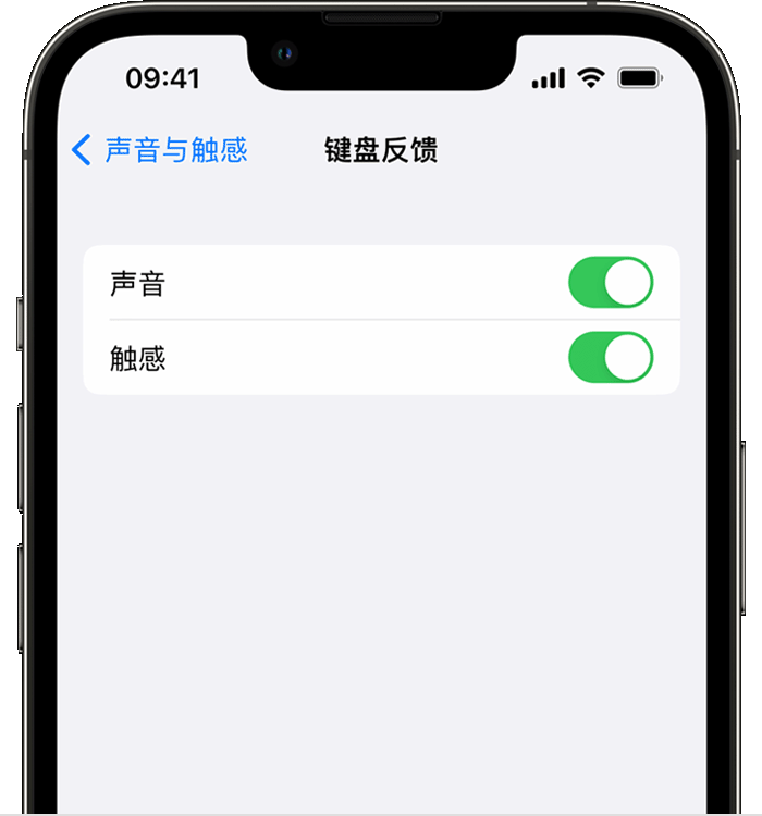 珠海苹果14维修分享iPhone 14 系列机型如何开启键盘声音或触感反馈 