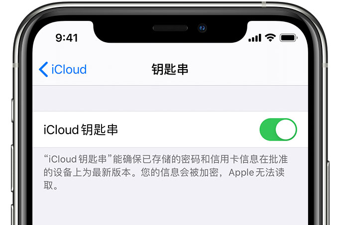 珠海苹果手机维修分享在 iPhone 上开启 iCloud 钥匙串之后会储存哪些信息 