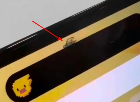 珠海苹果14维修分享iPhone 14 Pro Max灵动岛怎么养宠物 