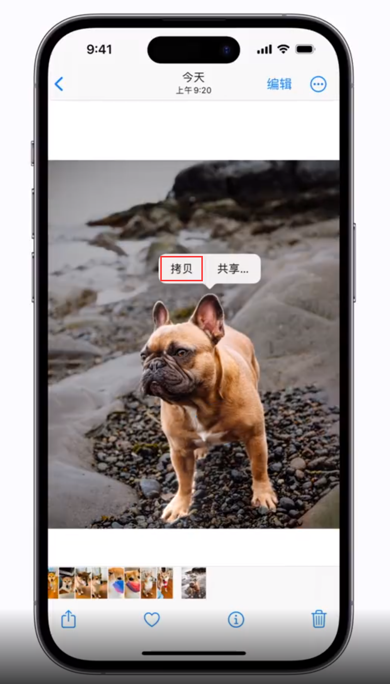 珠海苹果手机维修分享 iOS 16 自带一键抠图功能 