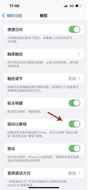 珠海苹果手机维修分享iPhone手机如何设置摇一摇删除文字 