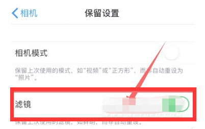 珠海苹果13维修分享iPhone13拍照有绿点是怎么回事 