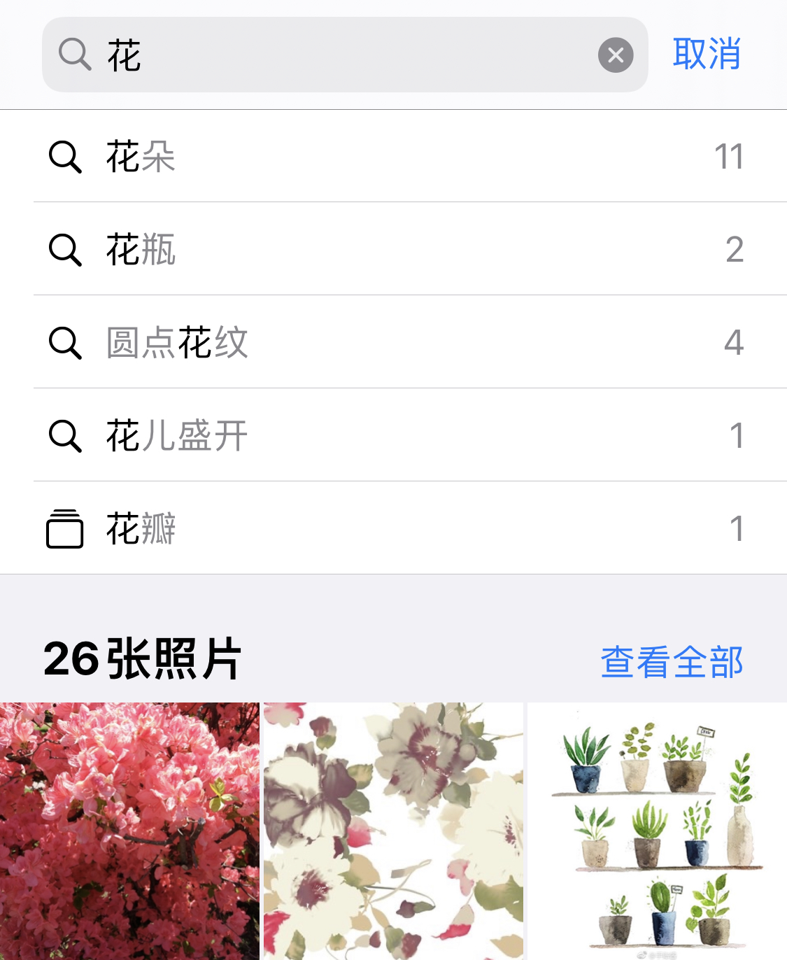 珠海苹果手机维修分享iPhone 小技巧 